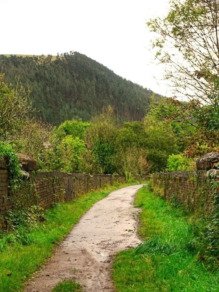 Selah Cottage, 21 Queen Street Pontrhydyfen Quarto foto